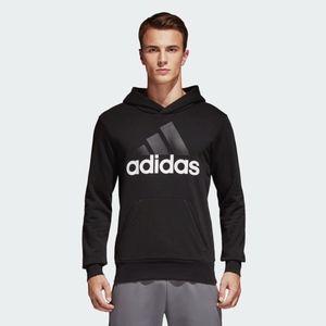 ESS LINEAR PULLOVER HOODIE s98772 b14